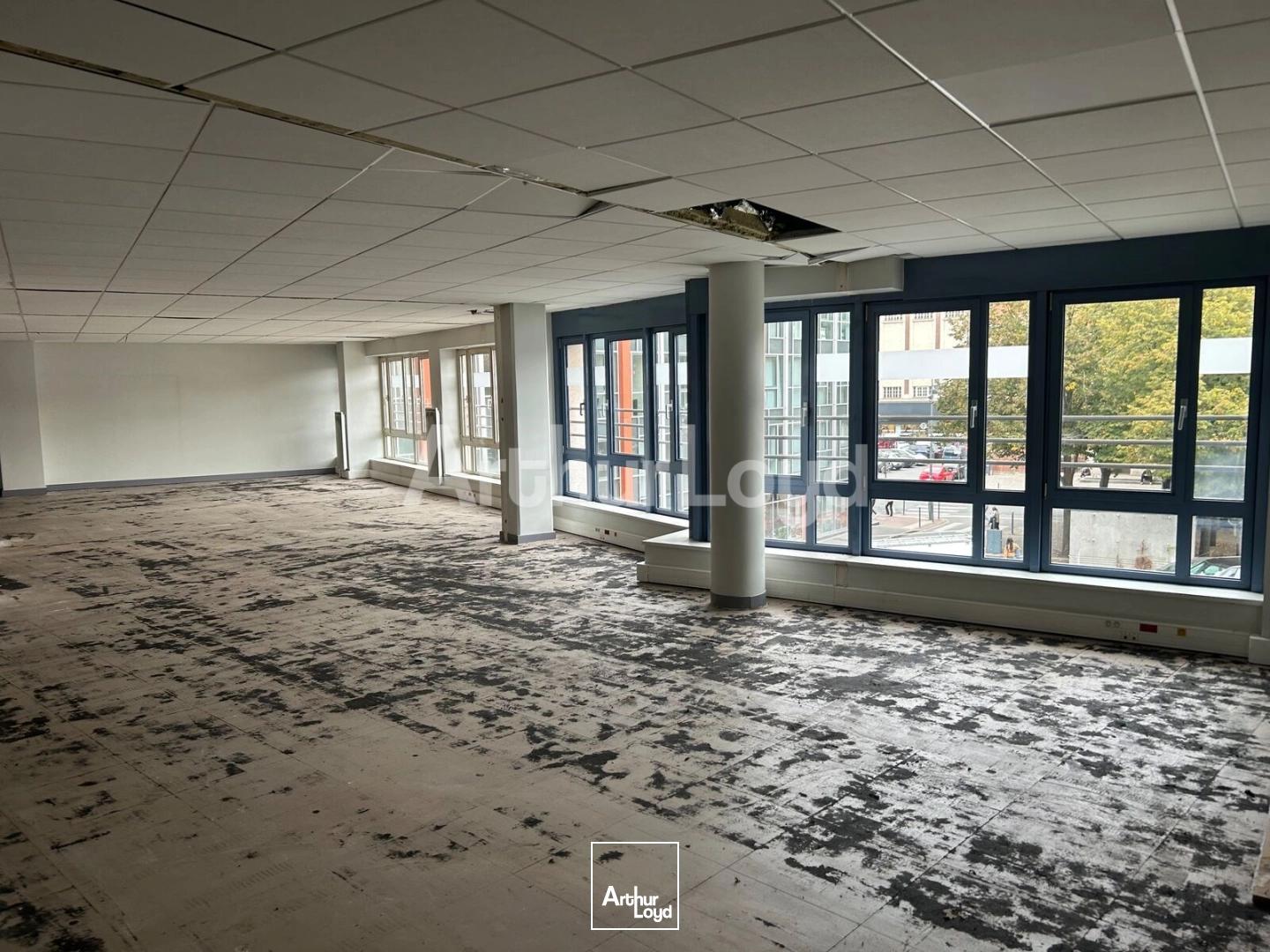 Bureaux - Location - LILLE - 59000 - 1041-1041 - 7933389