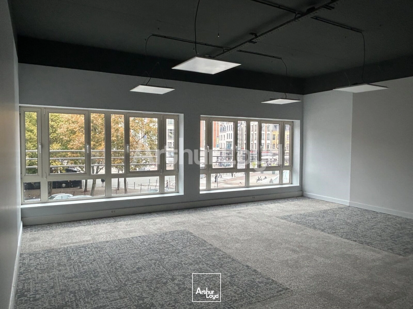 Bureaux - Location - LILLE - 59000 - 1041-1041 - 7933386