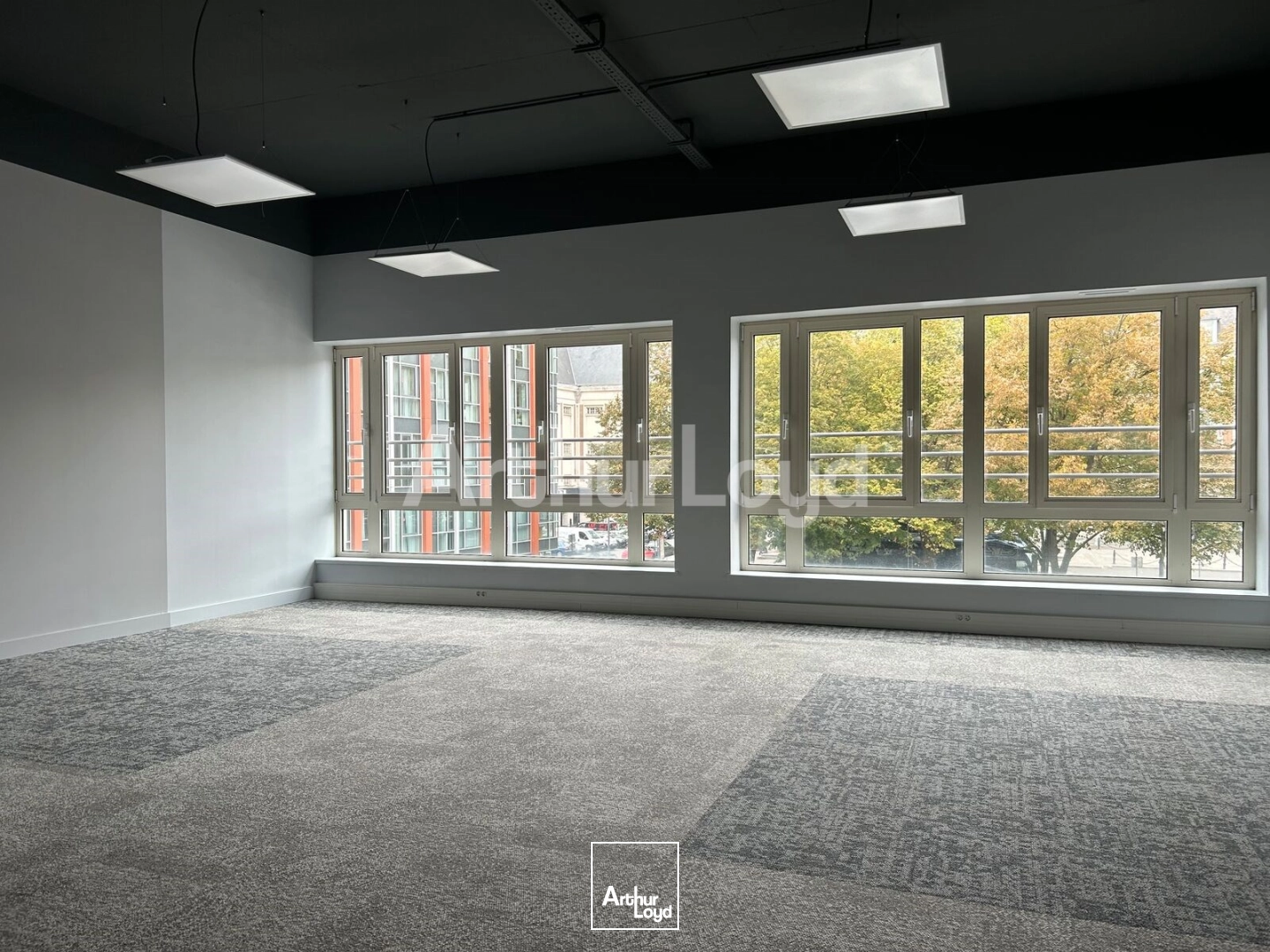 Bureaux - Location - LILLE - 59000 - 1041-1041 - 7933388