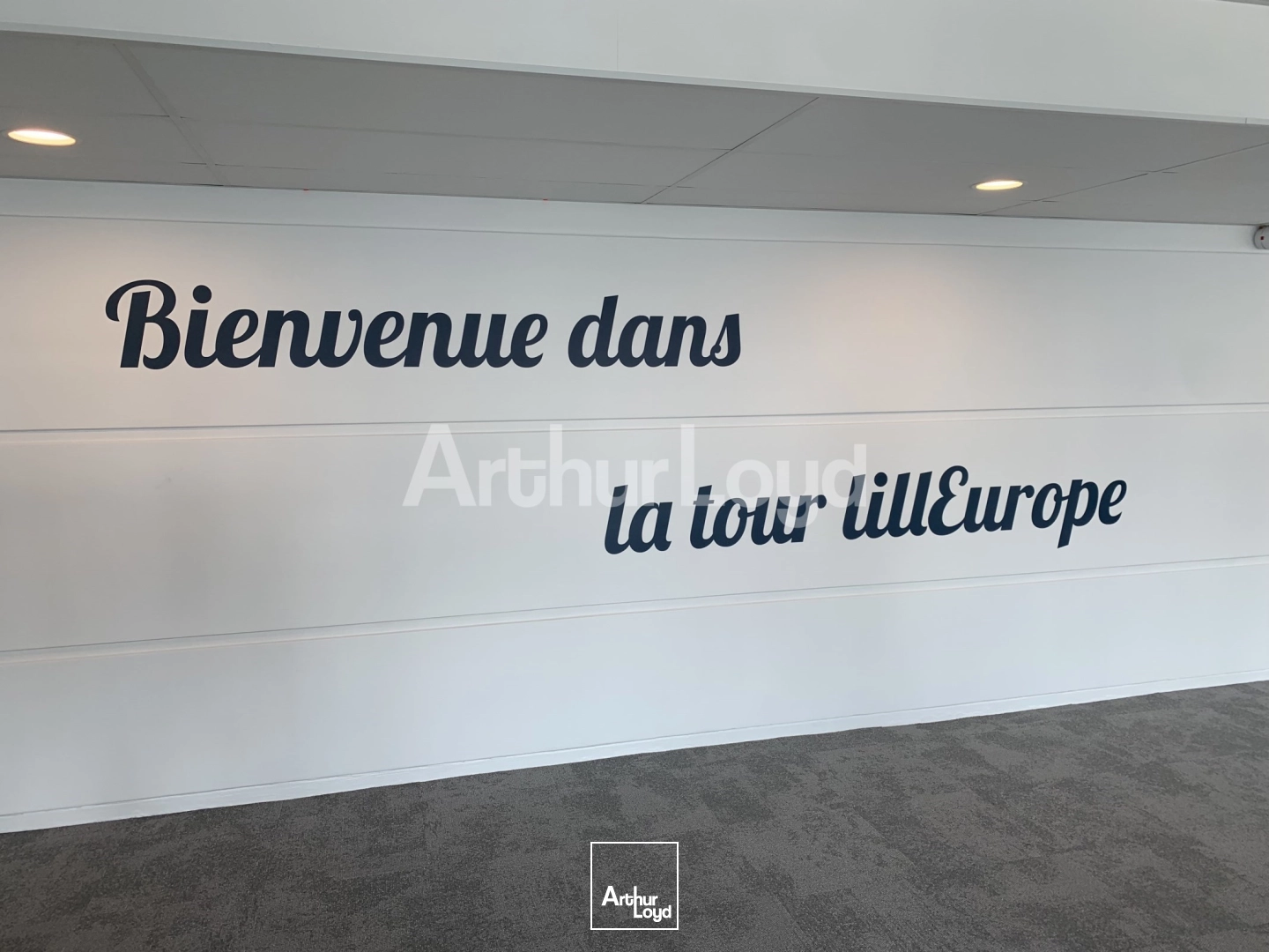Bureaux - Location - EURALILLE - 59777 - 414.8-13249.93 - 7939463
