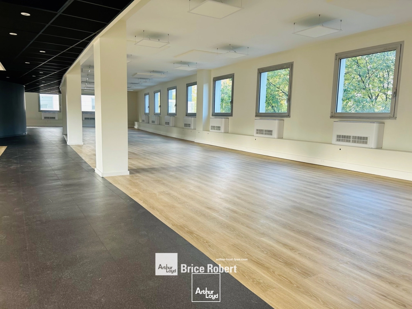 Bureaux - Location - VILLEURBANNE - 69100 - 210.22-515.22 - 7941027