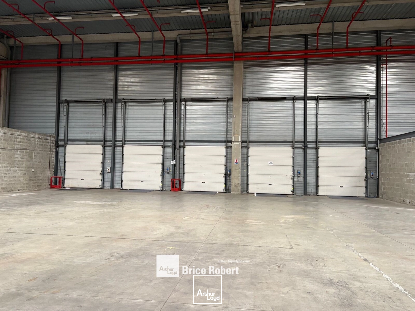 Locaux d'activité & Entrepôts - Location - MIONS - 69780 - 438-25465 - 7945836
