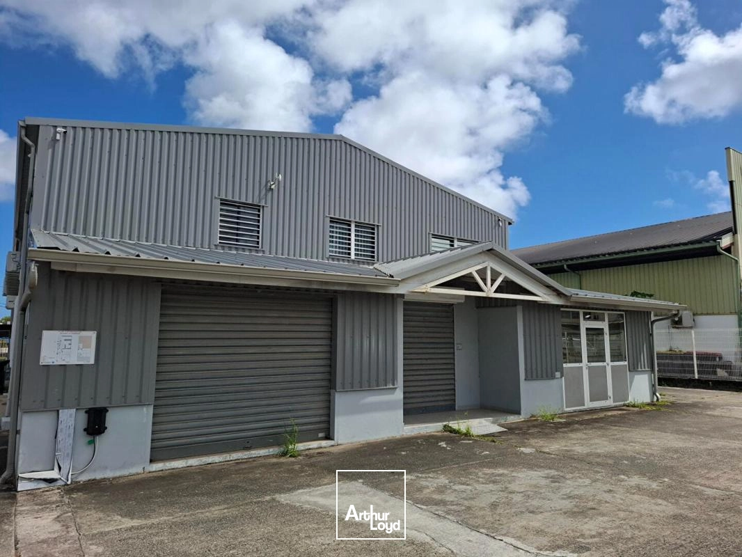 Locaux commerciaux - Location - Cayenne - 97300 - 128-128 - 7969602