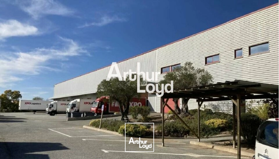 Locaux d'activité & Entrepôts - Location - SAINT RAPHAEL - 83700 - 5398.6-5398.6 - 7983325