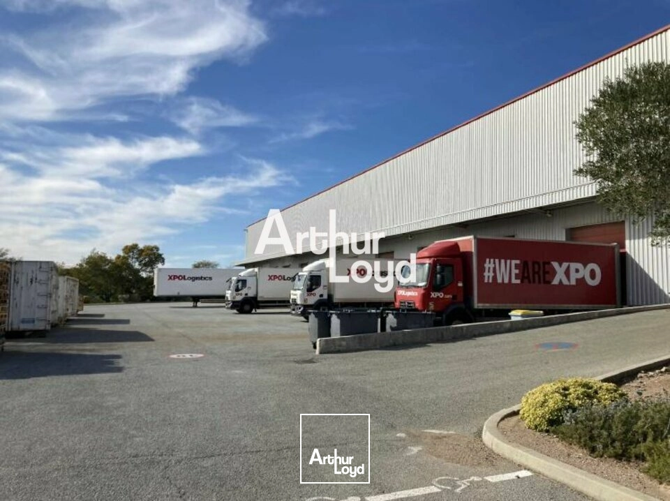 Locaux d'activité & Entrepôts - Location - SAINT RAPHAEL - 83700 - 5398.6-5398.6 - 7983327