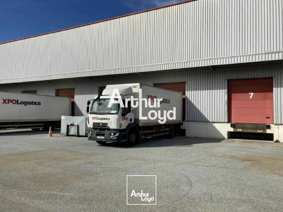 Locaux d'activité & Entrepôts - Location - SAINT RAPHAEL - 83700 - 5398.6-5398.6 - 7983329