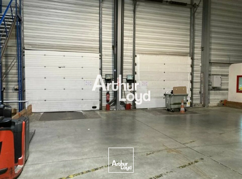 Locaux d'activité & Entrepôts - Location - SAINT RAPHAEL - 83700 - 5398.6-5398.6 - 7983333
