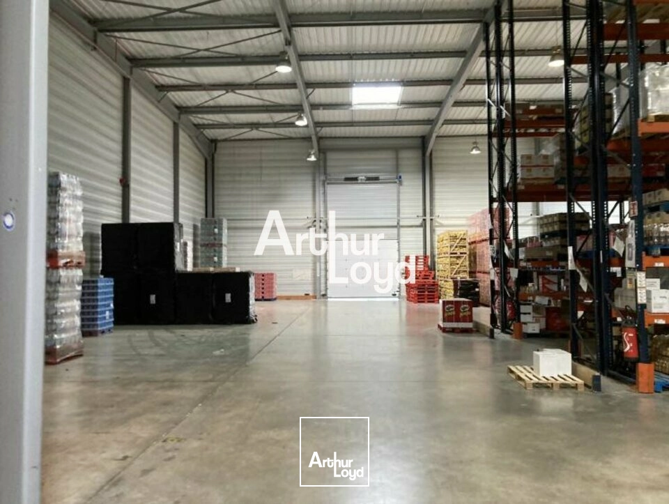 Locaux d'activité & Entrepôts - Location - SAINT RAPHAEL - 83700 - 5398.6-5398.6 - 7983334