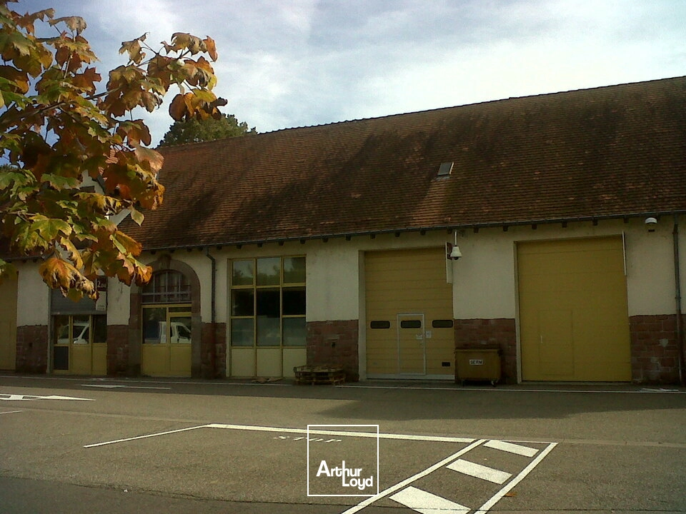 Locaux d'activité & Entrepôts - Location - MULHOUSE - 68100 - 120-420 - 7990021