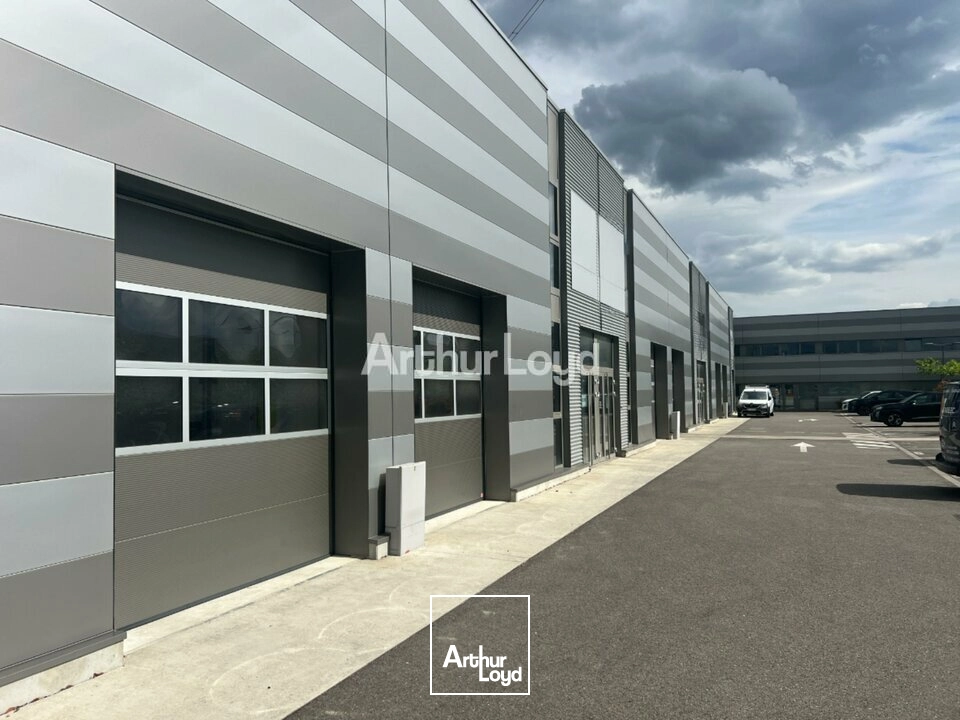 Locaux d'activité & Entrepôts - Location - SAINTE-CROIX-EN-PLAINE - 68127 - 188.65-188.65 - 7991583