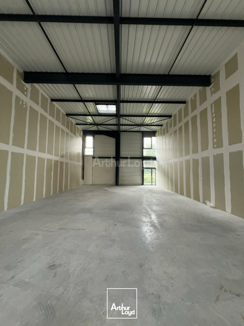 Locaux d'activité & Entrepôts - Location - SAINTE-CROIX-EN-PLAINE - 68127 - 188.65-188.65 - 7991585