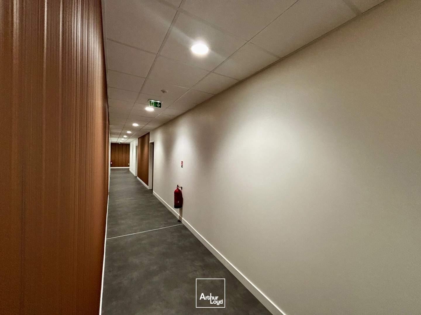 Bureaux - Vente - MONTREDON DES CORBIERES - 11100 - 43.64-1196.55 - 7992241