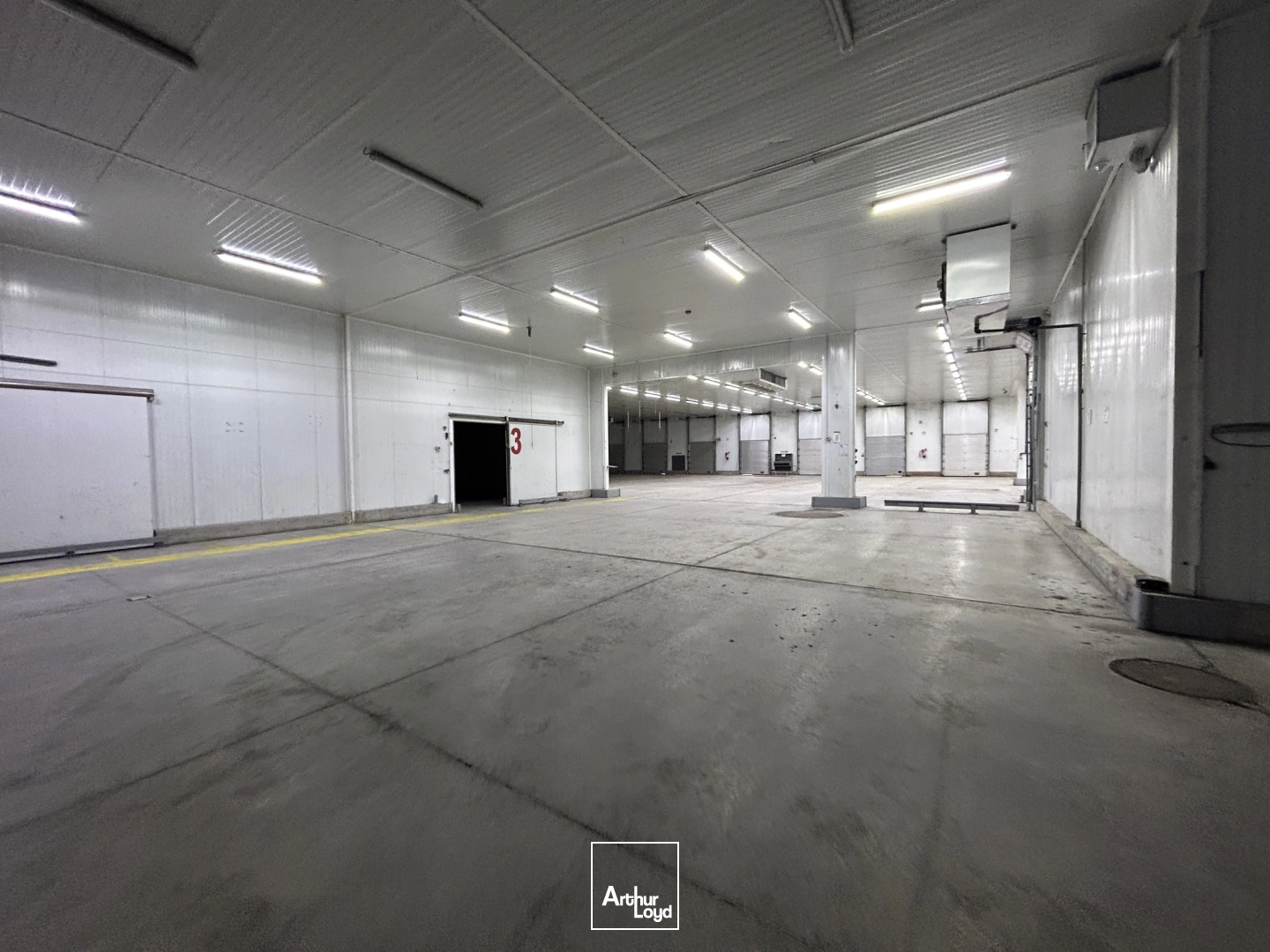 Locaux d'activité & Entrepôts - Location - PERPIGNAN - 66000 - 2600-2600 - 7992386