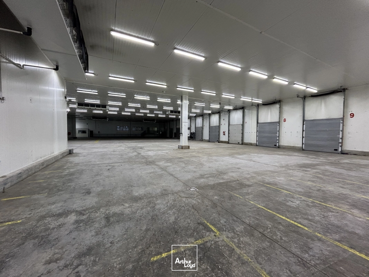 Locaux d'activité & Entrepôts - Location - PERPIGNAN - 66000 - 2600-2600 - 7992388