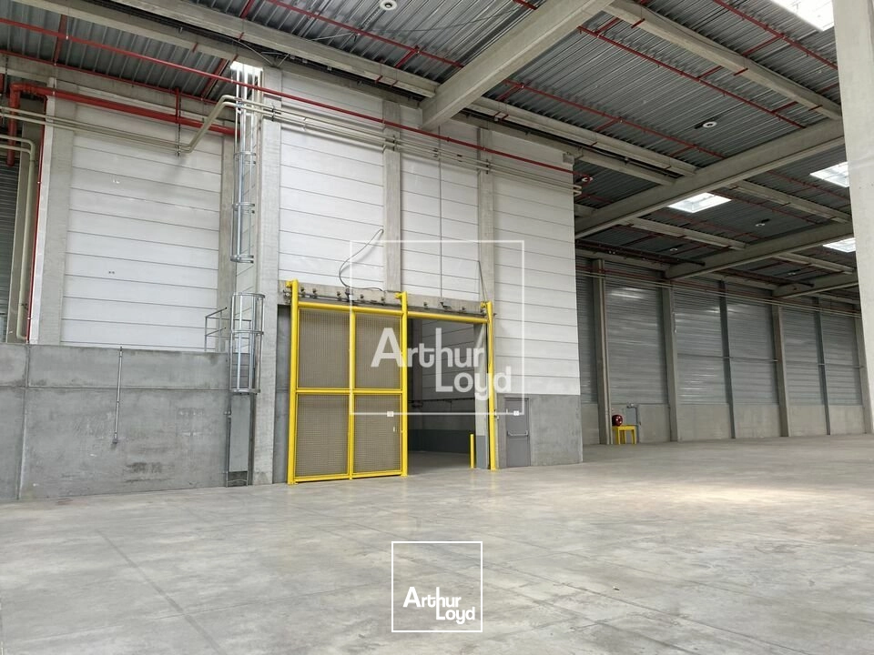 Locaux d'activité & Entrepôts - Location - MOISSY CRAMAYEL - 77550 - 6621-6621 - 8004885