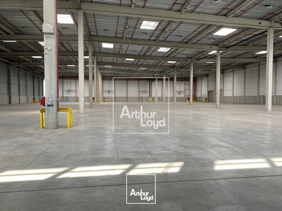 Locaux d'activité & Entrepôts - Location - MOISSY CRAMAYEL - 77550 - 6621-6621 - 8004886