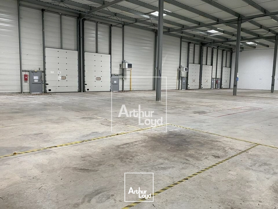 Locaux d'activité & Entrepôts - Location - MOISSY CRAMAYEL - 77550 - 3035-3035 - 8005064