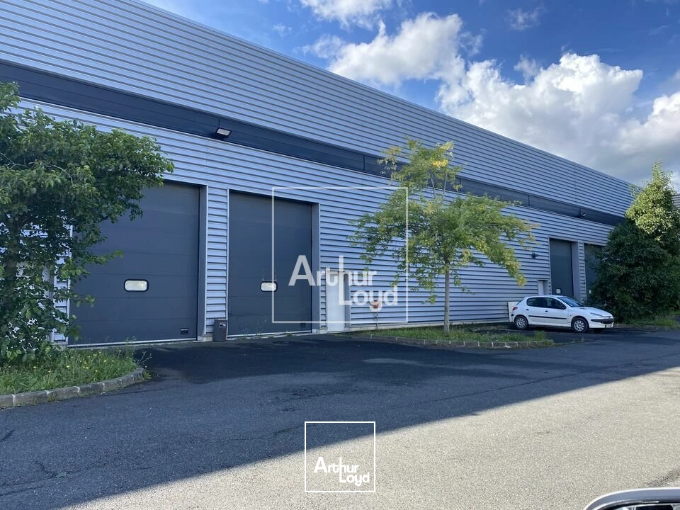 Locaux d'activité & Entrepôts - Location - MOISSY CRAMAYEL - 77550 - 3035-3035 - 8005065