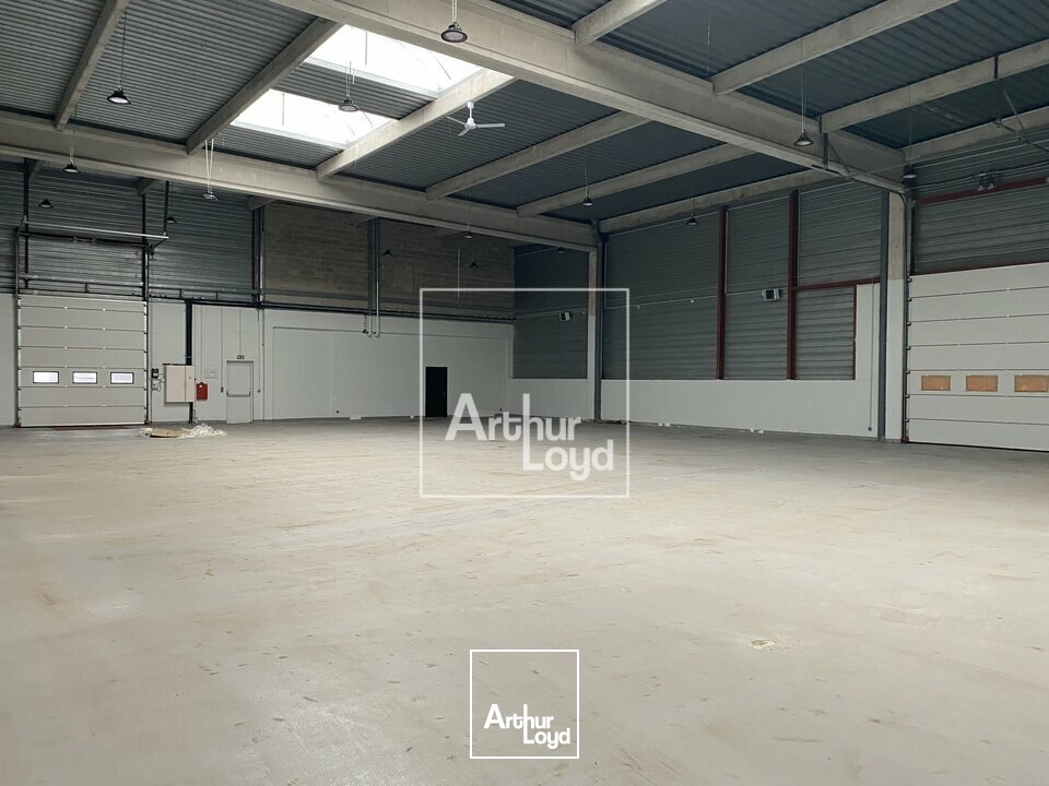 Locaux d'activité & Entrepôts - Location - TIGERY - 91250 - 700-1400 - 8006075