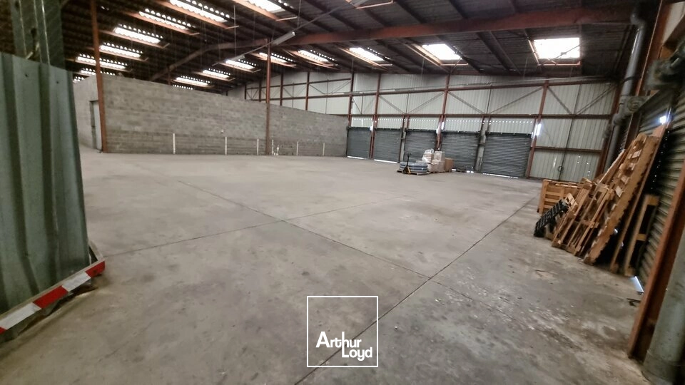 Locaux d'activité & Entrepôts - Location - POITIERS - 86000 - 1459-1459 - 8008246