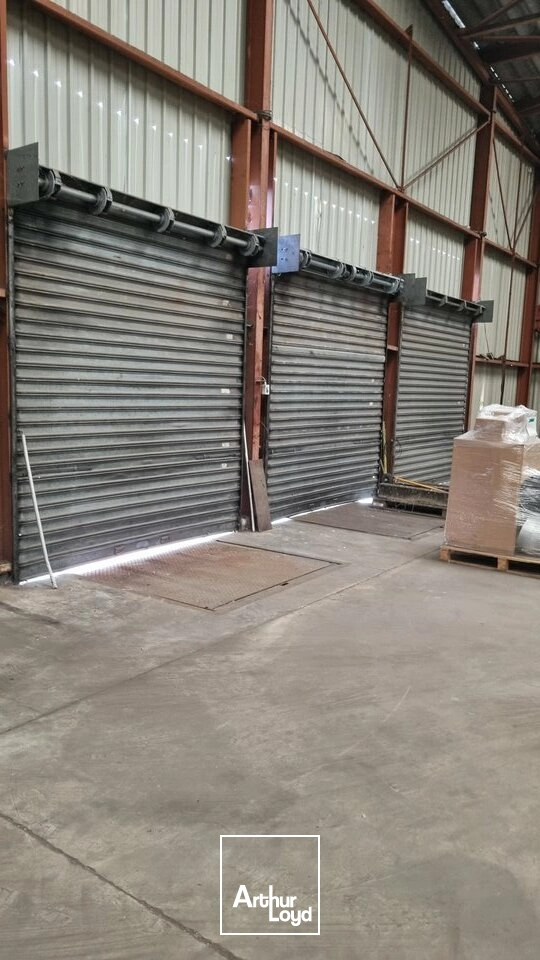 Locaux d'activité & Entrepôts - Location - POITIERS - 86000 - 1459-1459 - 8008247