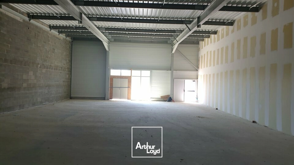 Locaux commerciaux - Location - AZAY-LE-BRÛLÉ - 79400 - 300-300 - 8008684