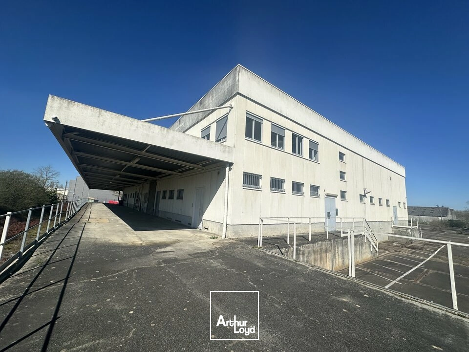 Locaux d'activité & Entrepôts - Location - BOURGES - 18000 - 1288-1288 - 8019133