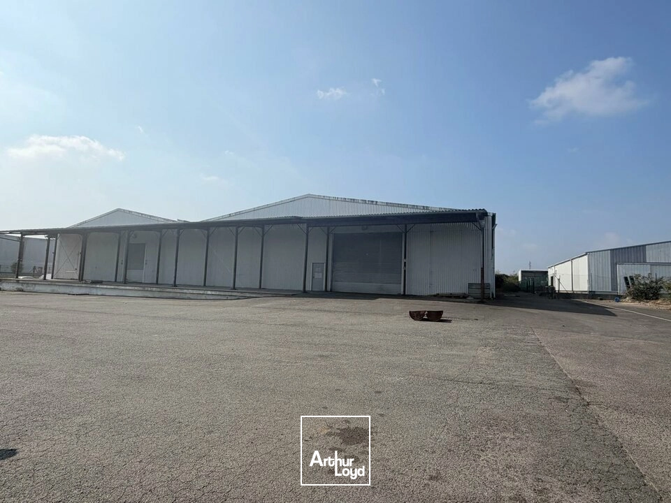 Locaux d'activité & Entrepôts - Vente - SAINT-DOULCHARD - 18230 - 3800-3800 - 8019206