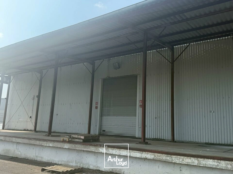 Locaux d'activité & Entrepôts - Vente - SAINT-DOULCHARD - 18230 - 3800-3800 - 8019207