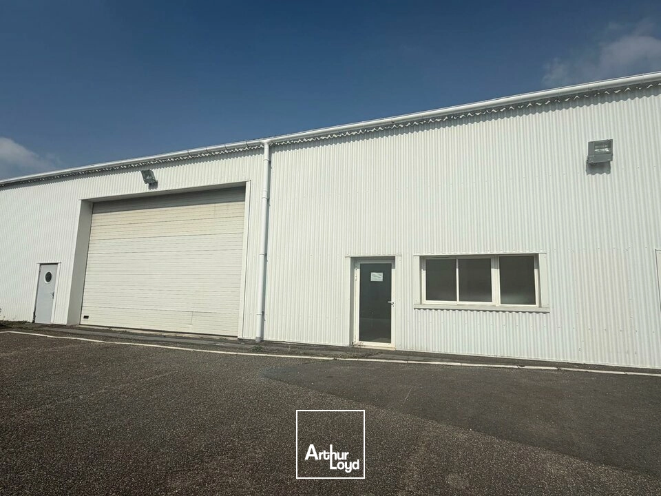 Locaux d'activité & Entrepôts - Vente - SAINT-DOULCHARD - 18230 - 3800-3800 - 8019208