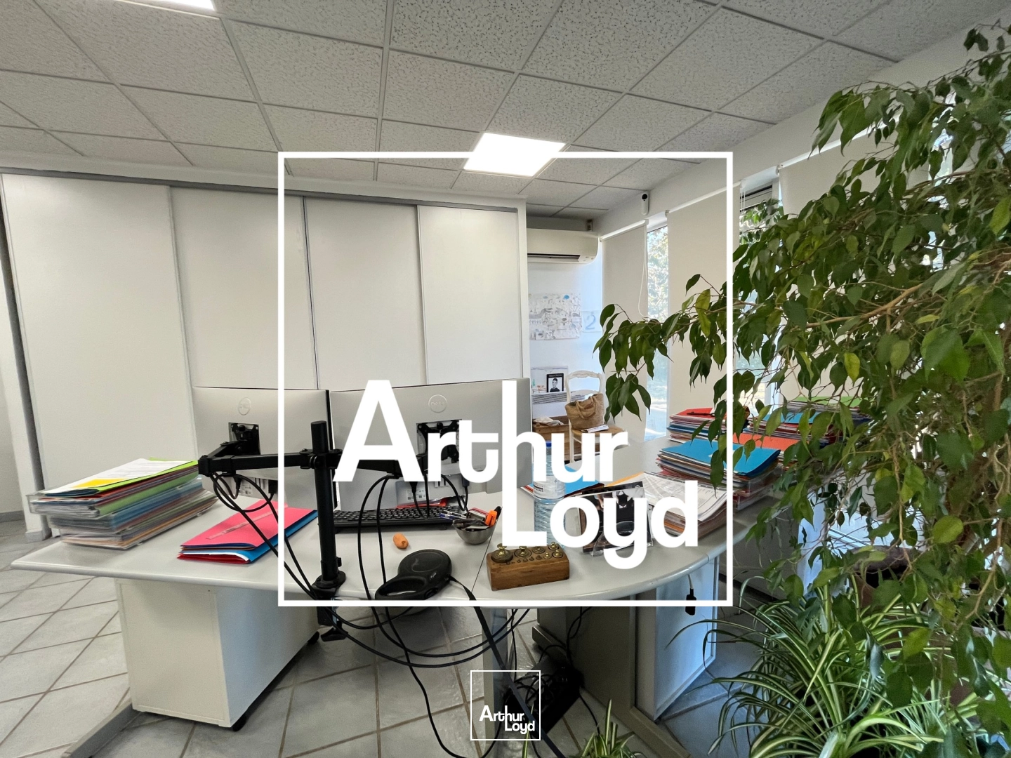 Locaux d'activité & Entrepôts - Location - CAISSARGUES - 30132 - 600-600 - 8020050