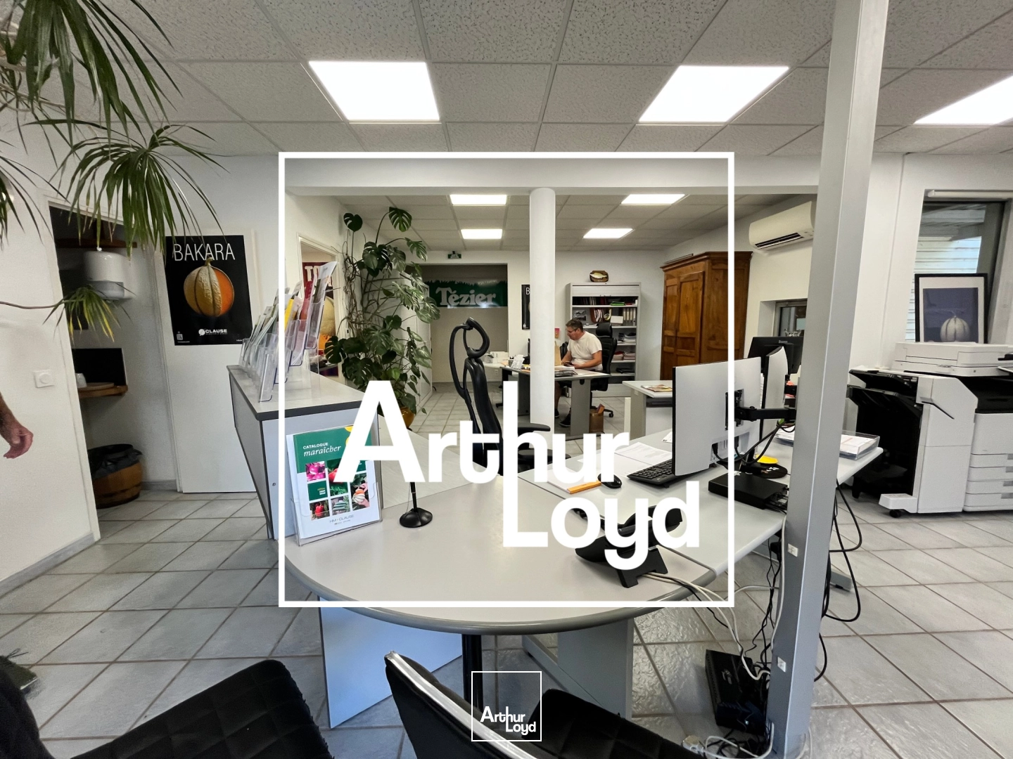 Locaux d'activité & Entrepôts - Location - CAISSARGUES - 30132 - 600-600 - 8020051