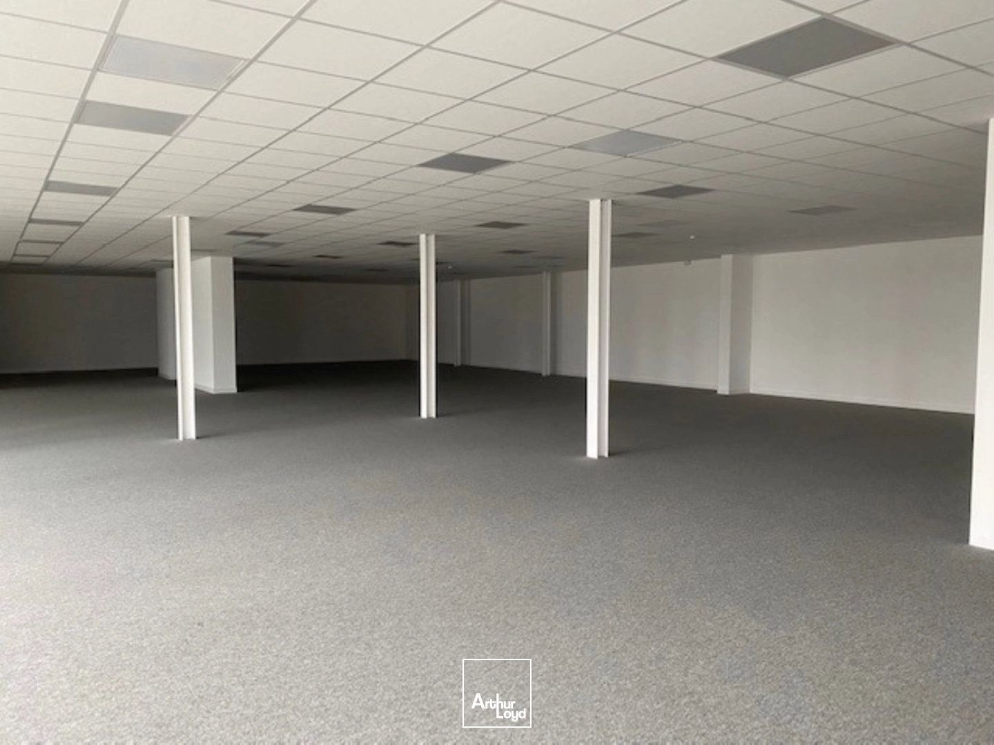 Bureaux - Location - PLOUFRAGAN - 22440 - 1500-1500 - 8021599