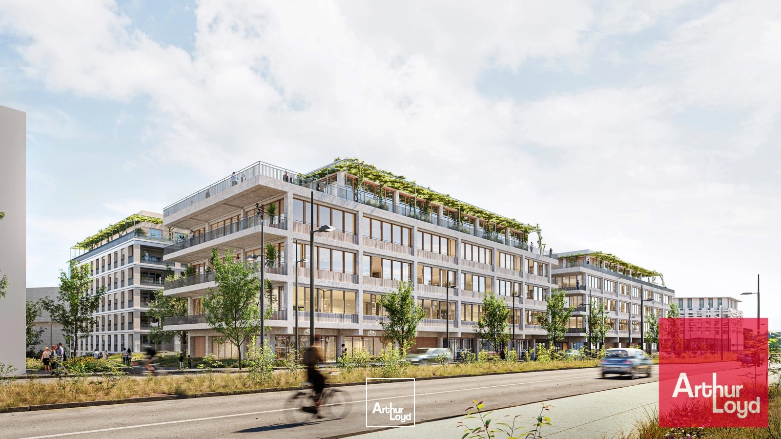 Bureaux - Location - CASTELNAU LE LEZ - 34170 - 189-5097 - 8032126