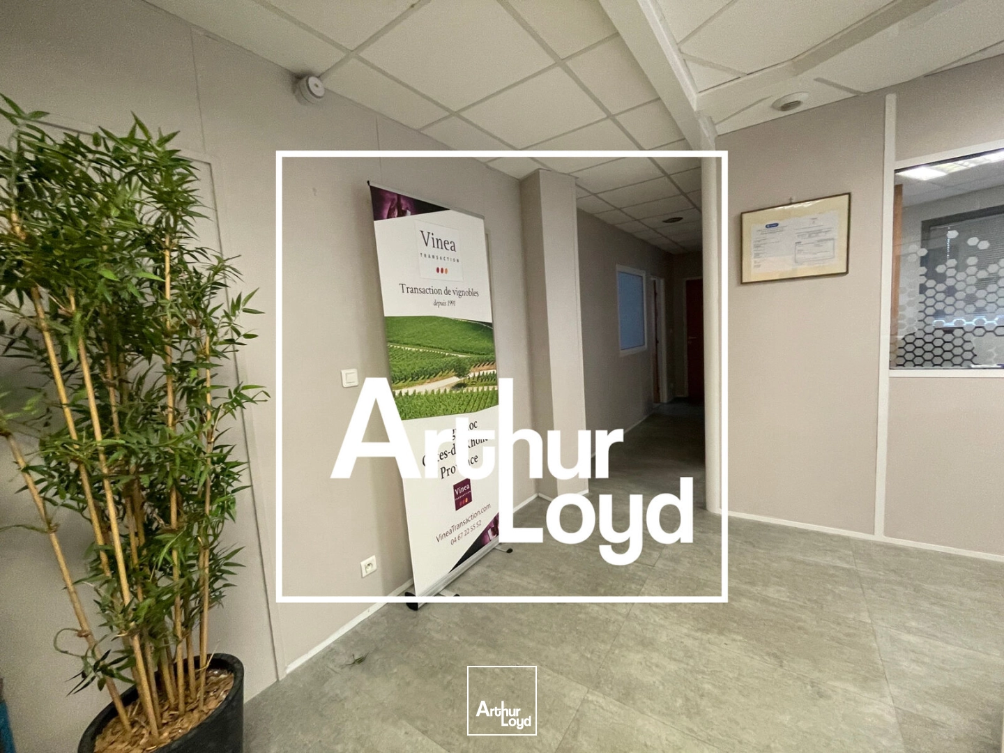 Bureaux - Location - CASTELNAU LE LEZ - 34170 - 281-281 - 8033412