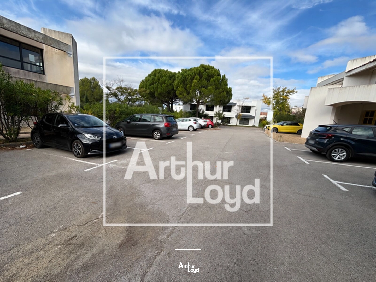 Bureaux - Location - MONTPELLIER - 34000 - 93-251 - 8034919