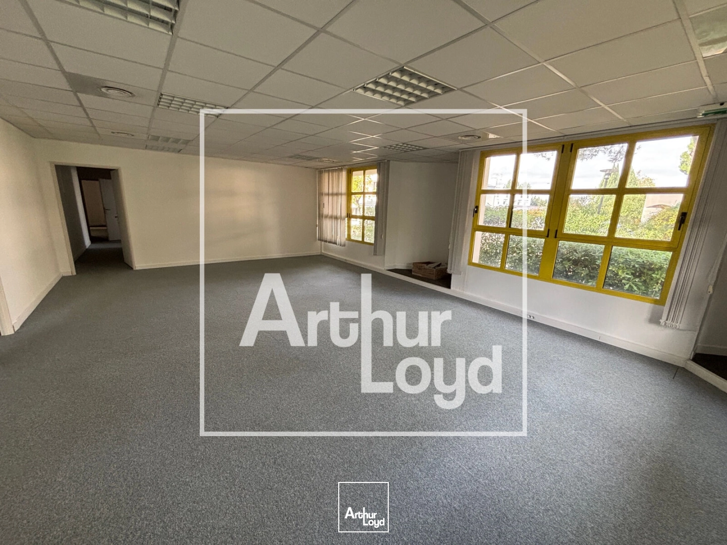 Bureaux - Location - MONTPELLIER - 34000 - 93-251 - 8034923