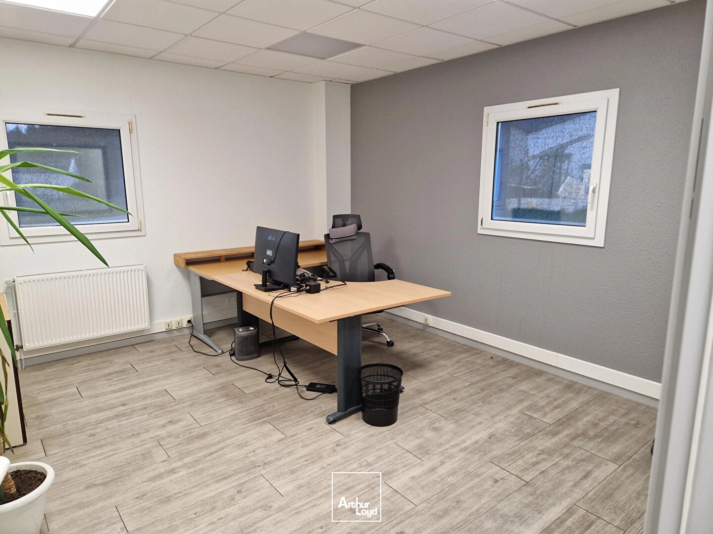 Locaux d'activité & Entrepôts - Location - LE PALAIS SUR VIENNE - 87410 - 530-530 - 8067466