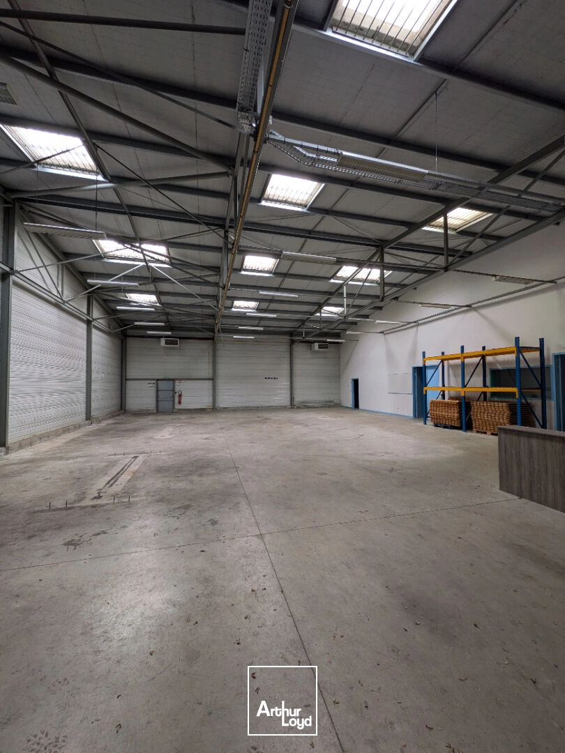 Locaux d'activité & Entrepôts - Location - PANAZOL - 87350 - 500-500 - 8067469