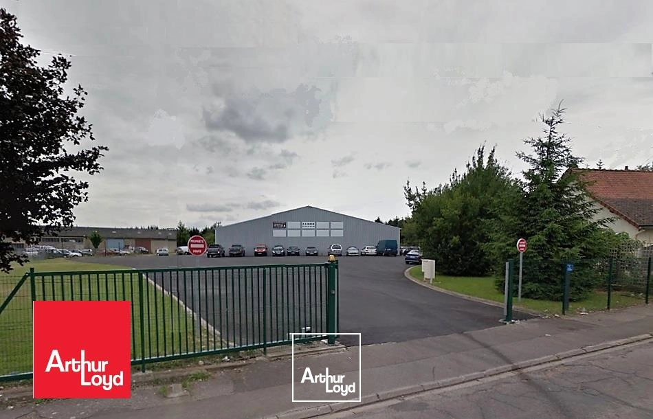 Locaux d'activité & Entrepôts - Location - LUCE - 28110 - 166-166 - 8069158