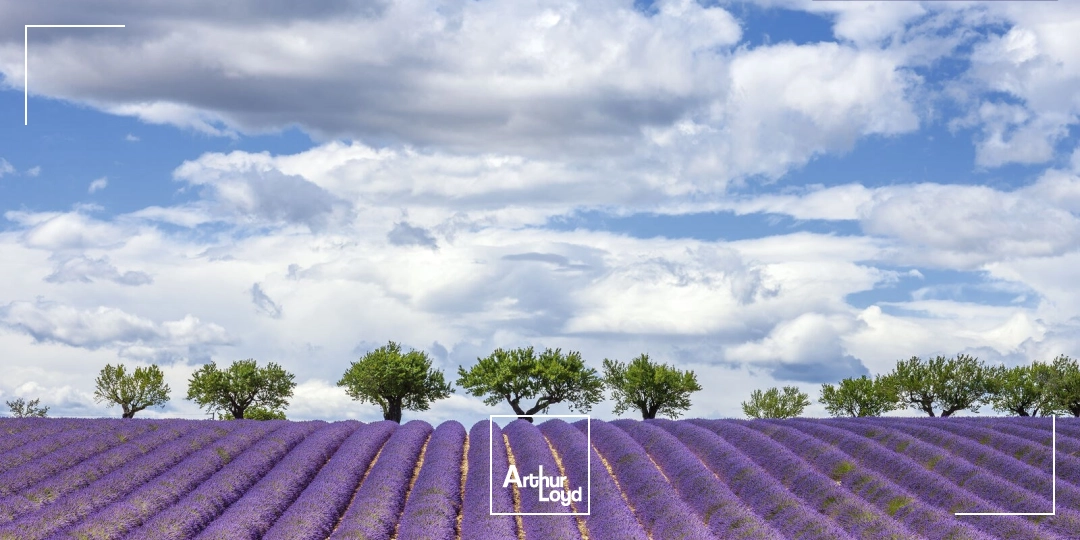 LOCAL A LOUER AVEC PARKINGS LA DURANNE