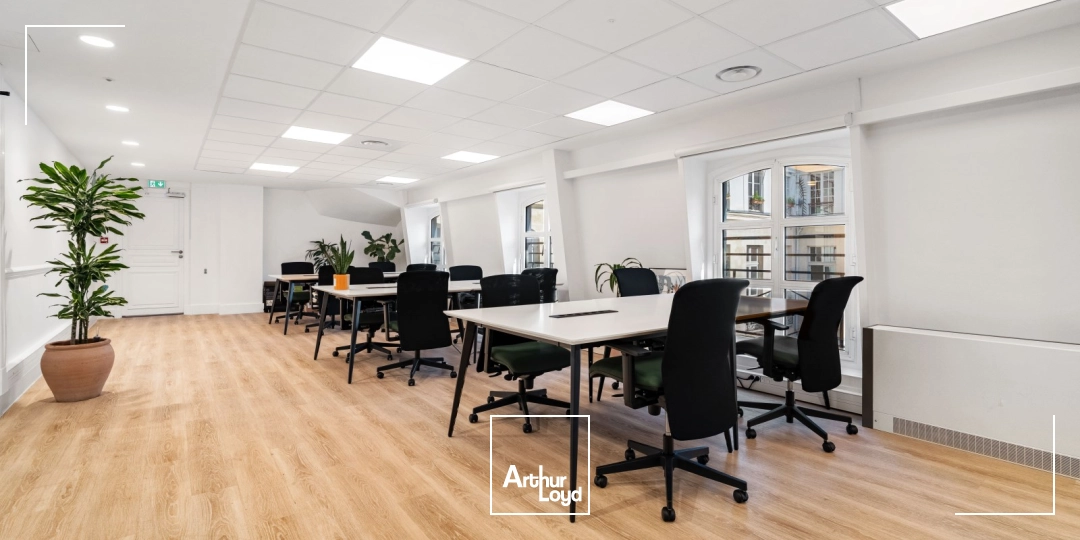 Bureaux A Louer - Sora Sentier