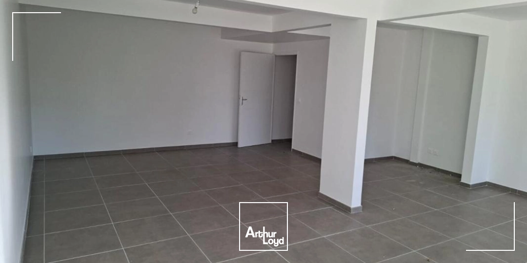 Locaux commerciaux - Location - Riviere Salee - 97215 - 0-0 - 7617892