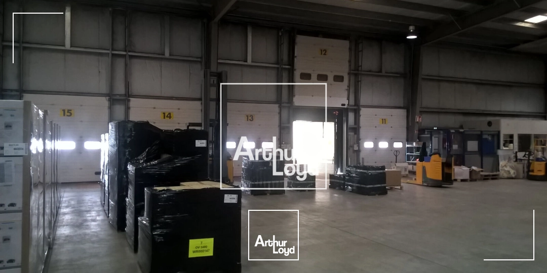 Locaux d'activité & Entrepôts - Location - LESPINASSE - 31150 - 6234-6234 - 7641290