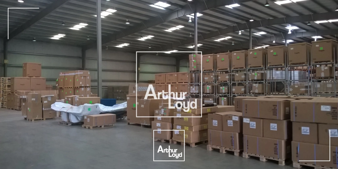 Locaux d'activité & Entrepôts - Location - LESPINASSE - 31150 - 6234-6234 - 7641287