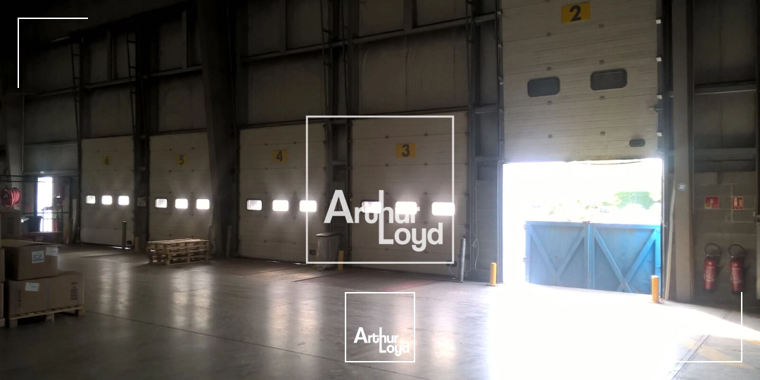 Locaux d'activité & Entrepôts - Location - LESPINASSE - 31150 - 6234-6234 - 7641291