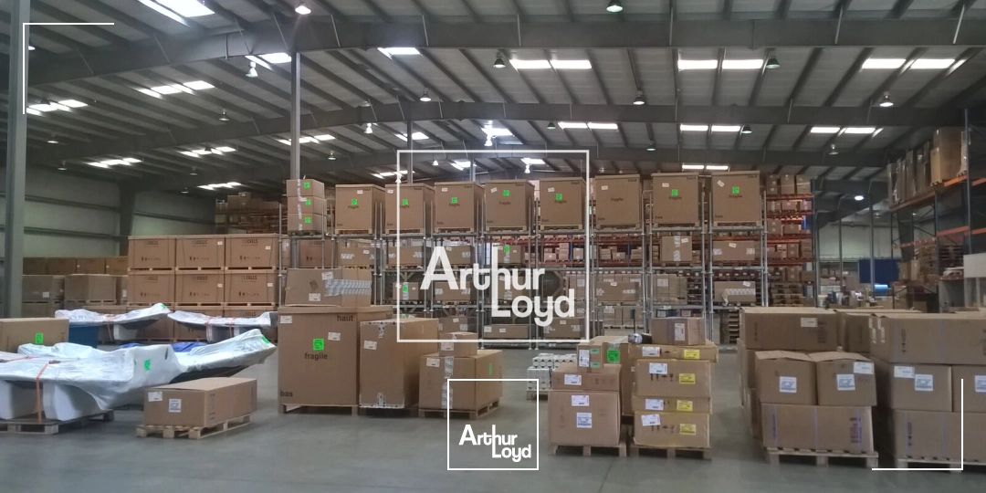 Locaux d'activité & Entrepôts - Location - LESPINASSE - 31150 - 6234-6234 - 7641288