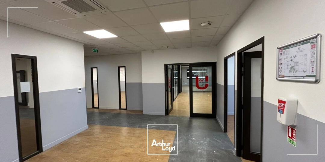 Bureaux - Location - PERPIGNAN - 66100 - 447-447 - 7646001