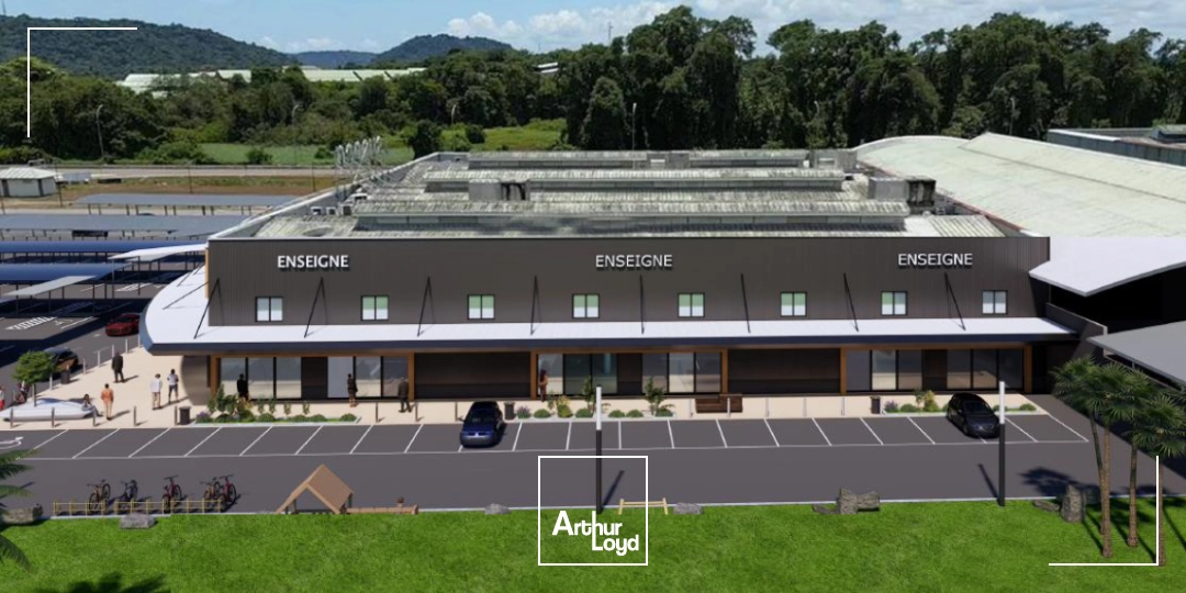 Locaux commerciaux - Location - Cayenne - 97300 - 800-800 - 7655097