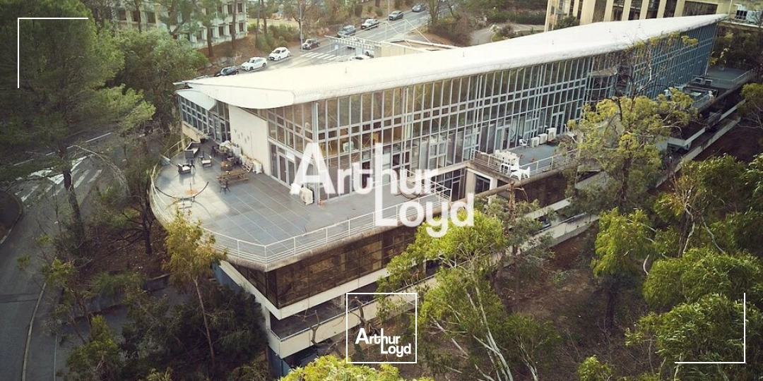 Bureaux - Location - VALBONNE - 06560 - 160-160 - 7655135